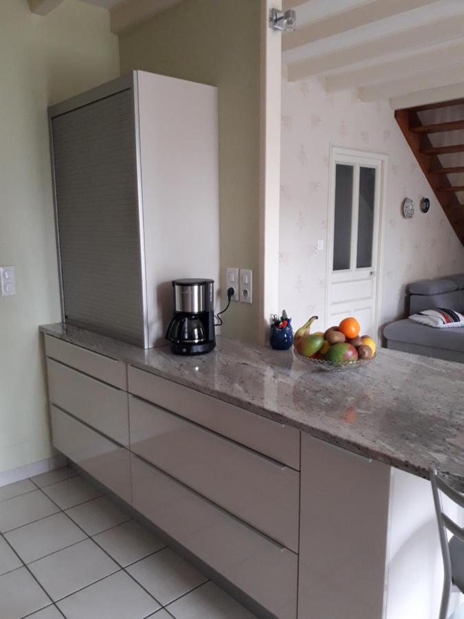 Le Logis De Lange Apt Les Aigrettes Saint-Hilaire-la-Palud Ngoại thất bức ảnh